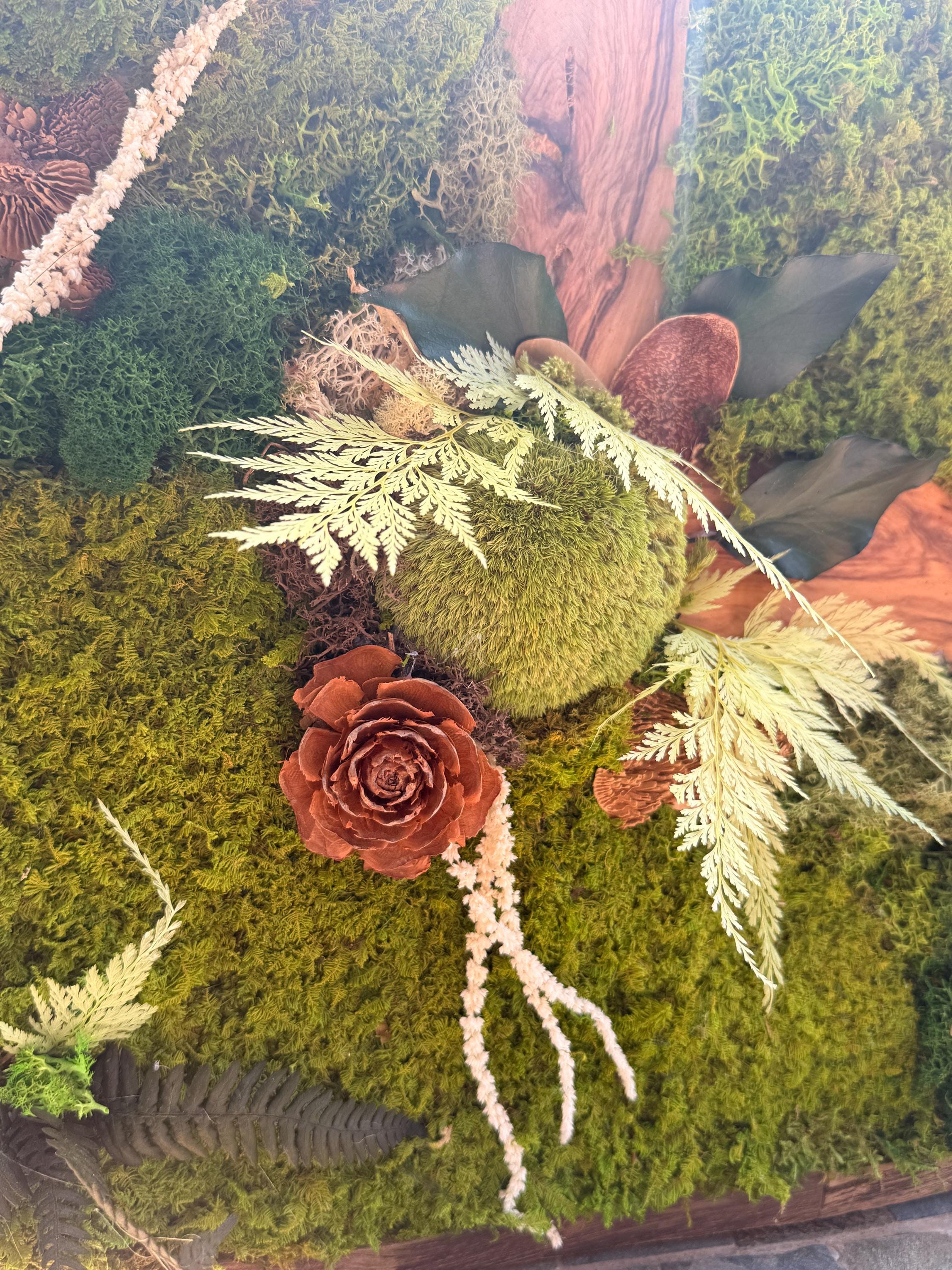 Cadre Végétal Stabilisé Forêt Enchantée 58 cm — Mousse, Lichen & Bois Brut | Déco Wabi-Sabi