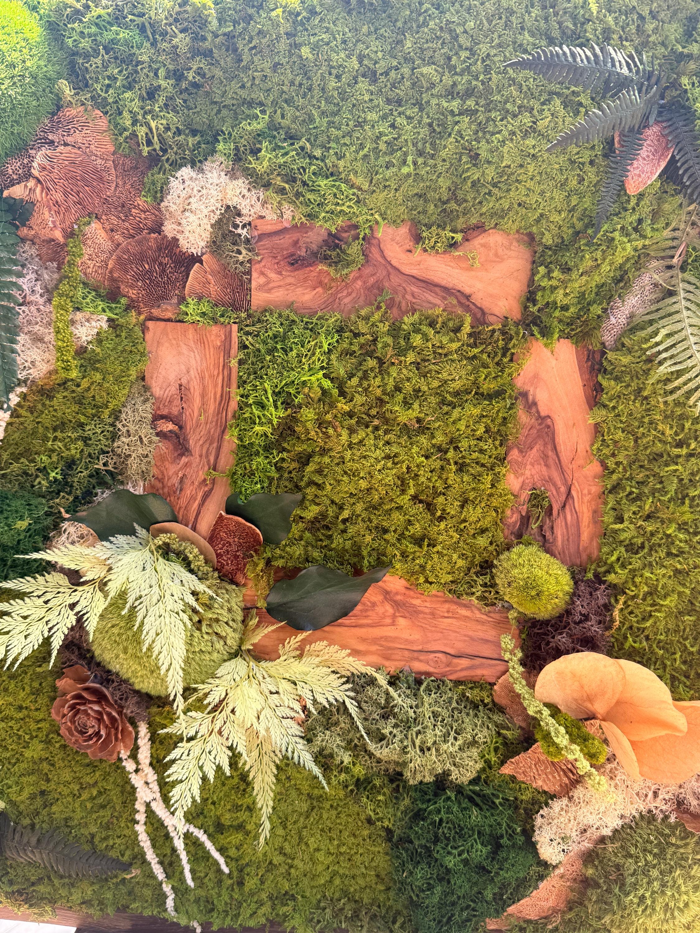 Cadre Végétal Stabilisé Forêt Enchantée 58 cm — Mousse, Lichen & Bois Brut | Déco Wabi-Sabi