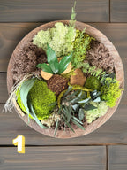 Triptique cadres végétaux stabilisés rond  Bois naturel | Décoration murale artisanale unique