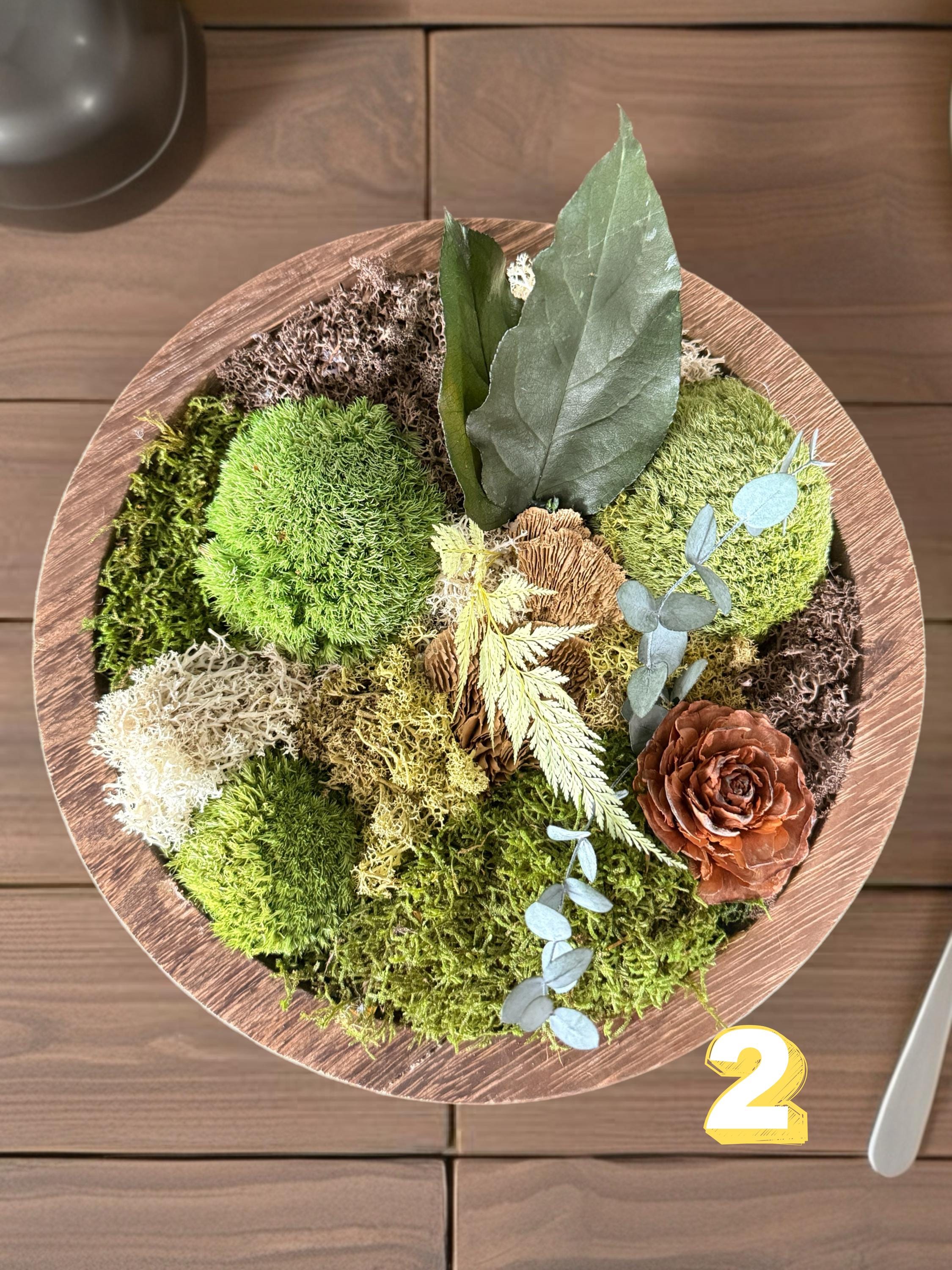 Triptique cadres végétaux stabilisés rond  Bois naturel | Décoration murale artisanale unique