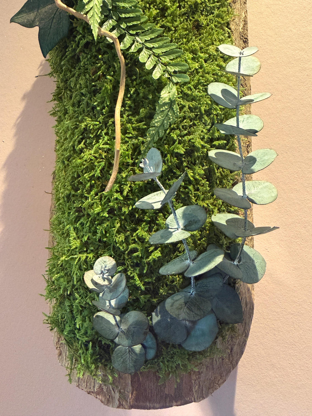 Duo de Cadres Végétaux Stabilisés sur Écorce Naturelle | Mousse & Fougère | 36 x 14 cm