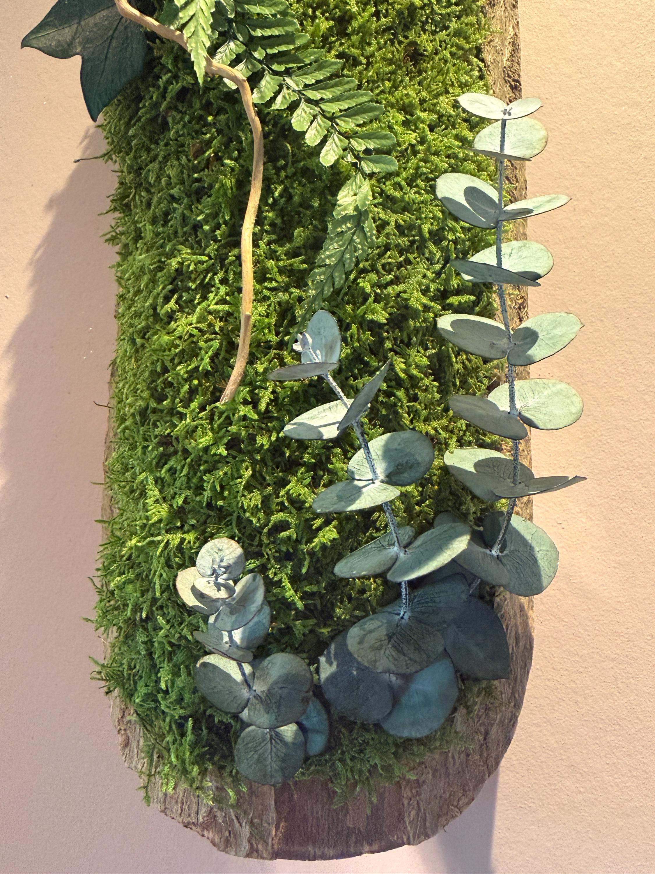 Duo de Cadres Végétaux Stabilisés sur Écorce Naturelle | Mousse & Fougère | 36 x 14 cm