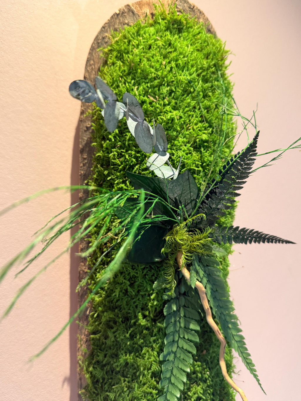 Duo de Cadres Végétaux Stabilisés sur Écorce Naturelle | Mousse & Fougère | 36 x 14 cm