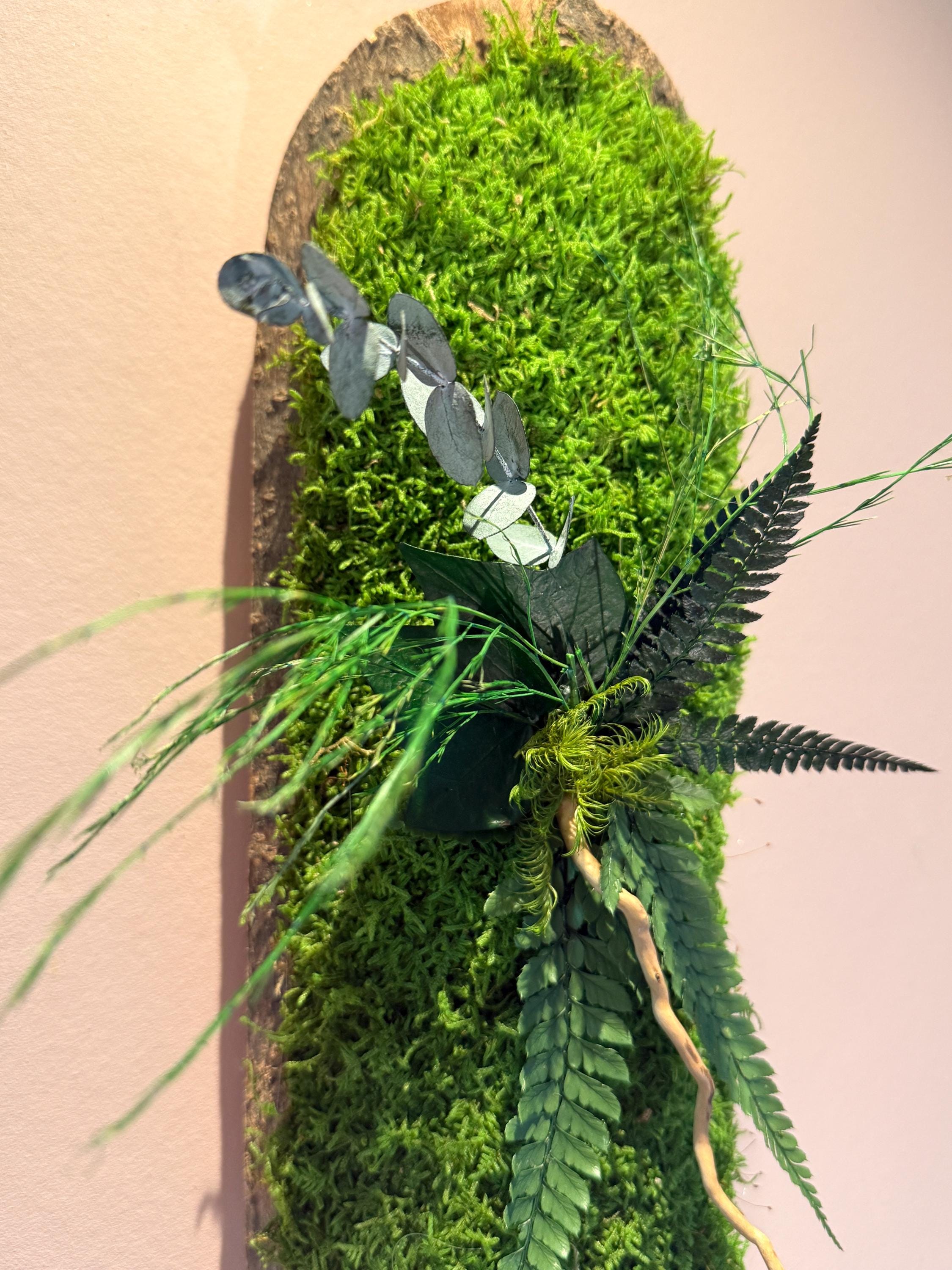 Duo de Cadres Végétaux Stabilisés sur Écorce Naturelle | Mousse & Fougère | 36 x 14 cm