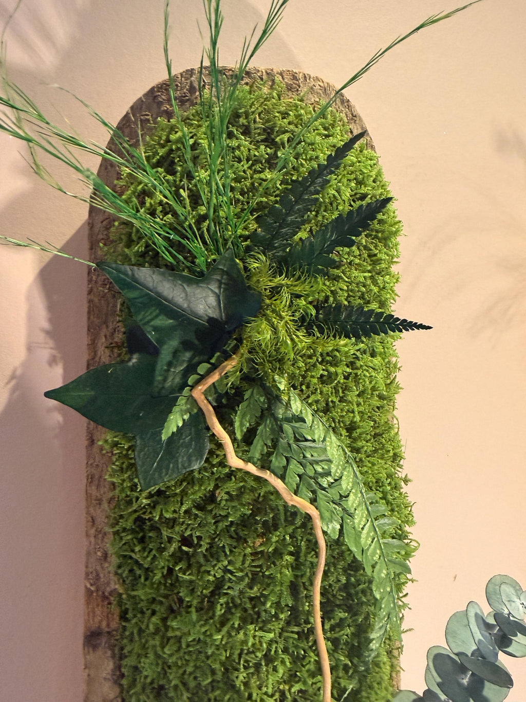 Duo de Cadres Végétaux Stabilisés sur Écorce Naturelle | Mousse & Fougère | 36 x 14 cm