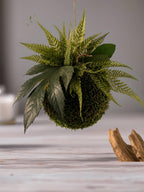 Kokedama suspendu 20 cm – Mousse et feuillage stabilisés