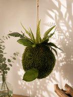 Kokedama suspendu 20 cm – Mousse et feuillage stabilisés