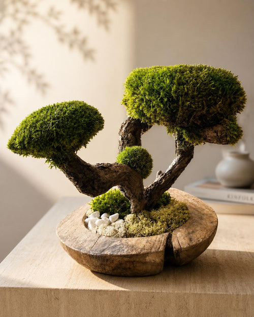 Bonsaï Stabilisé Double Canopée  Sculpture Végétale Zen en Bois Naturel et Mousse Stabilisée