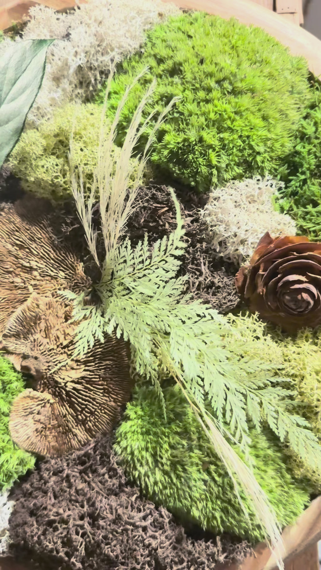 Tableau végétal rond en acacia 40 cm – L’Essence de la Forêt