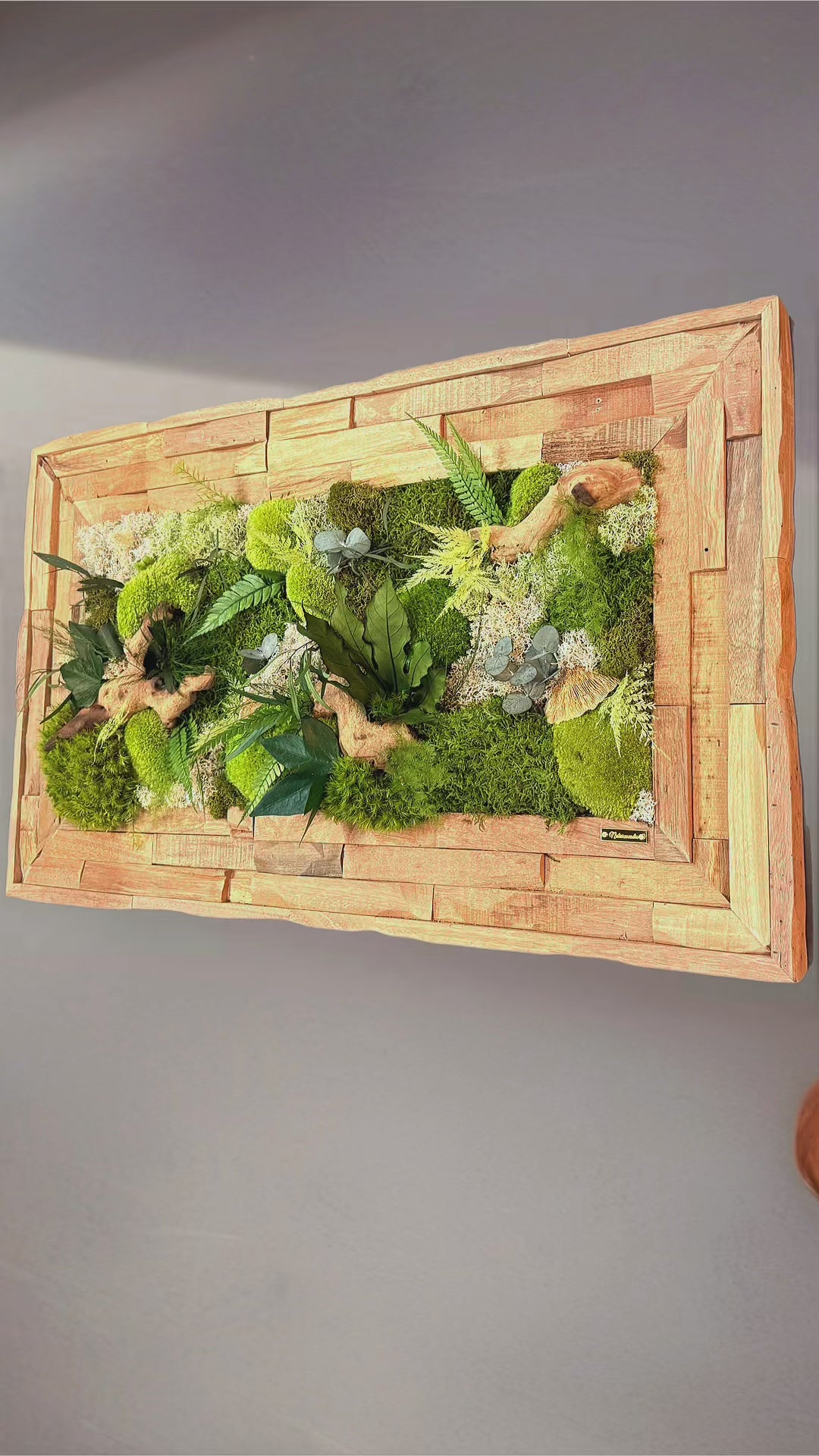 Échappée Sylvestre — Tableau végétal stabilisé, cadre en bois fait main