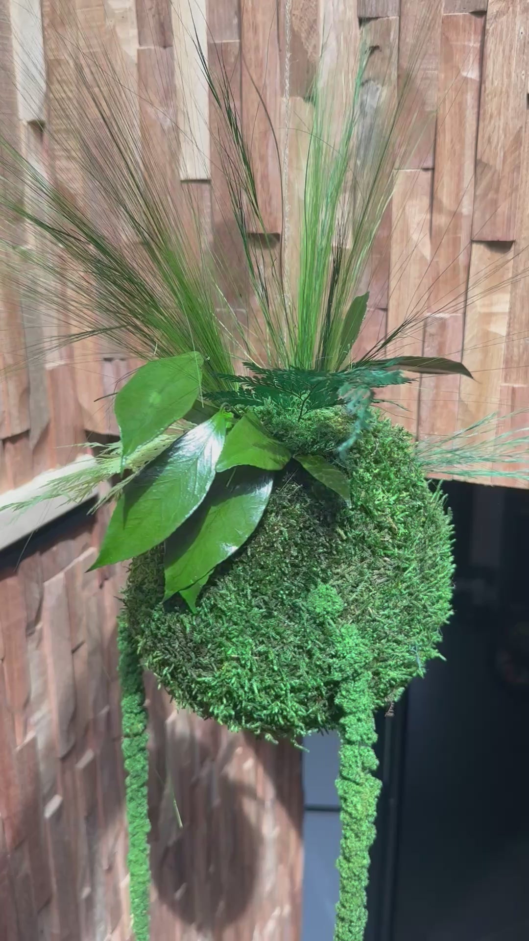 Kokedama suspendu en végétaux stabilisés – Élégance naturelle