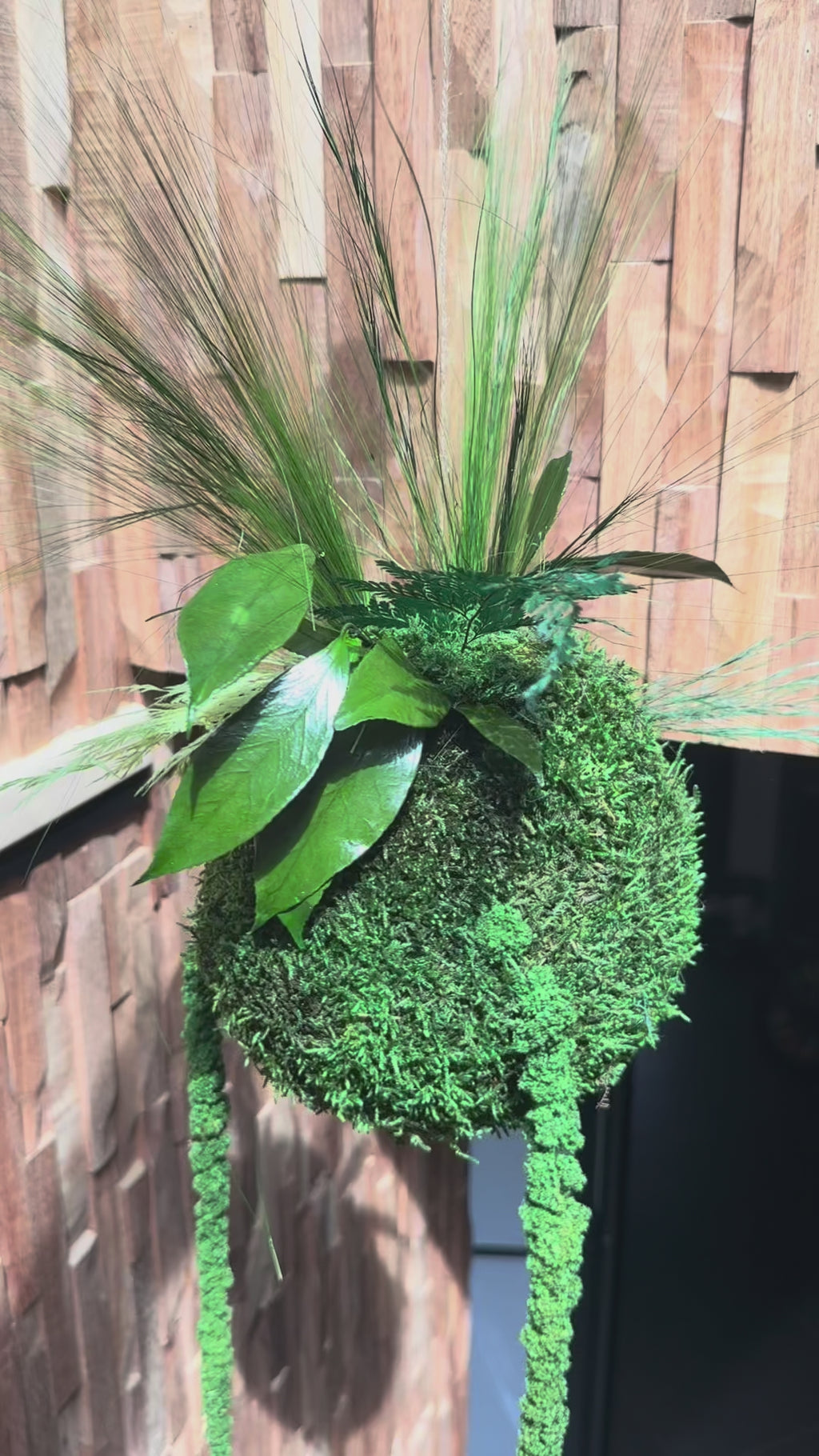 Kokedama suspendu en végétaux stabilisés – Élégance naturelle