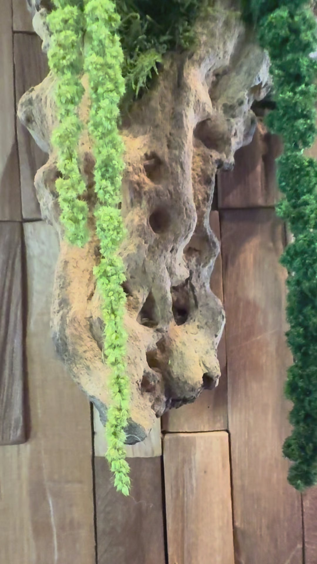 Sculpture murale végétaux stabilisés sur bois de Mopani – Art mural naturel fait main | Pièce unique