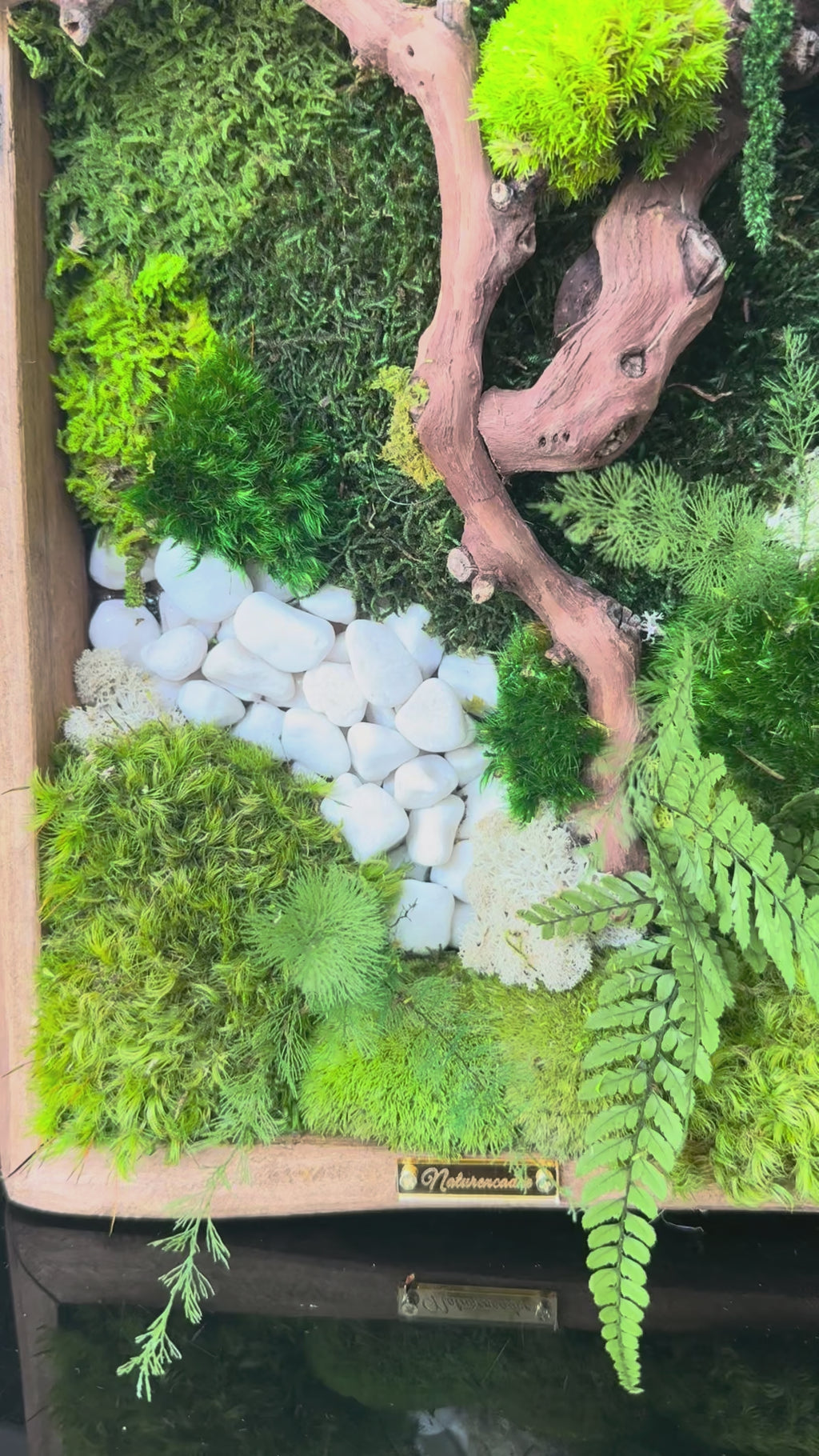 Cadre végétal stabilisé « Bonsaï Zen » – Pièce unique 50 × 25 cm