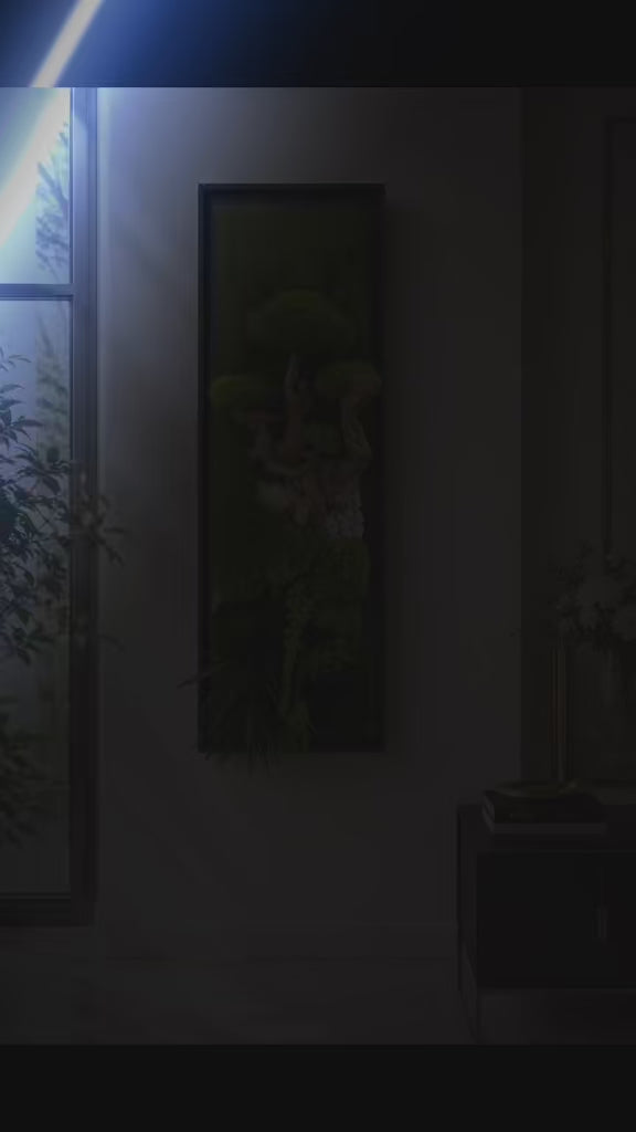 Bonsaï Mural Stabilisé XXL dans sa Caisse Américaine Noire – Tableau Végétal Lumineux 100 x 38 cm haut de gamme