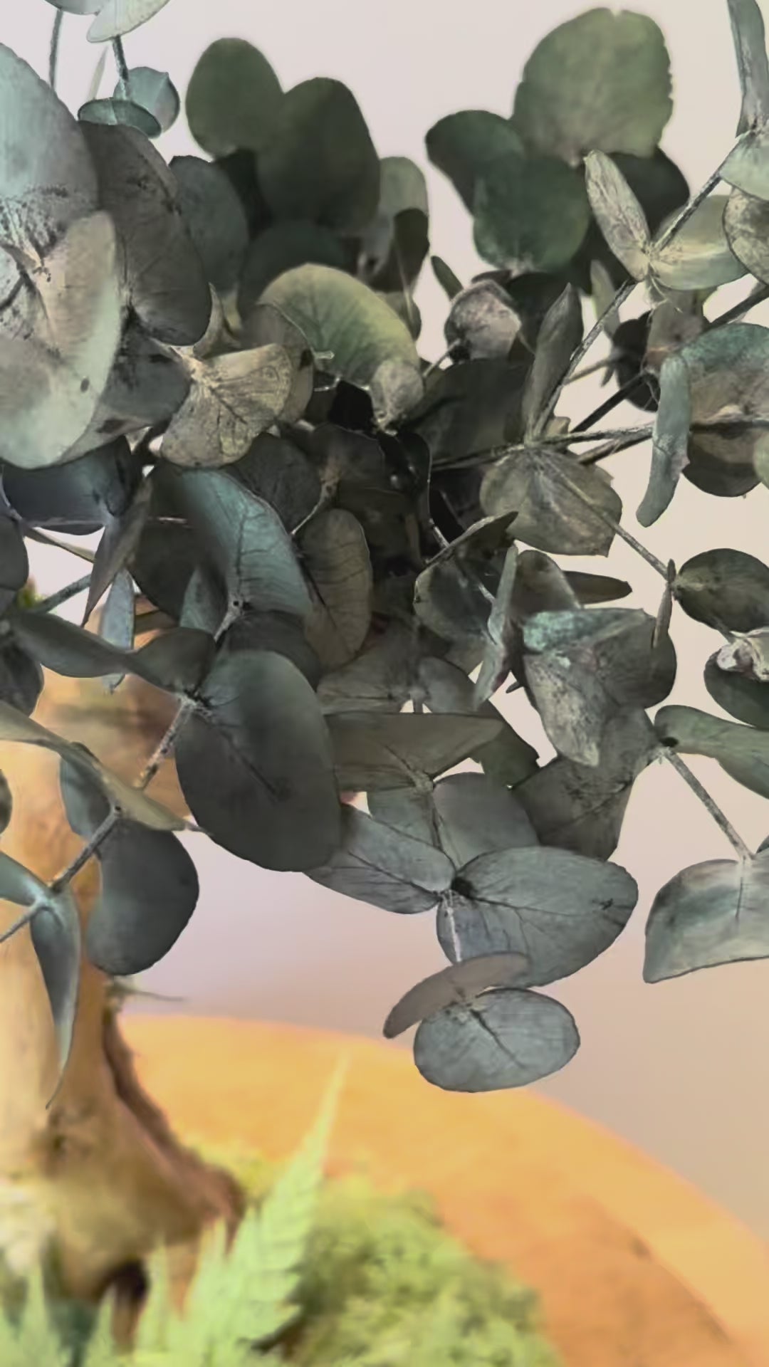 Bonsaï lumineux en eucalyptus stabilisé sur teck – Pièce unique