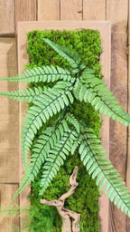 Jungle – Tableau végétal stabilisé aux fougères et bois flotté, 48 × 11 cm