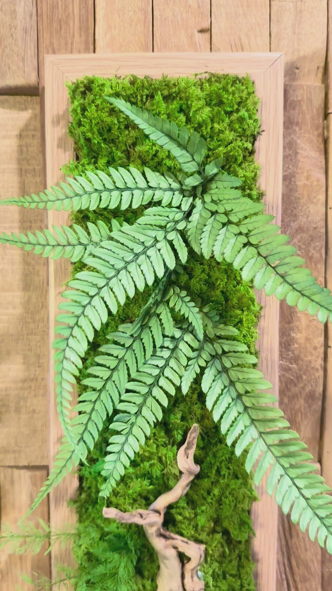 Jungle – Tableau végétal stabilisé aux fougères et bois flotté, 48 × 11 cm