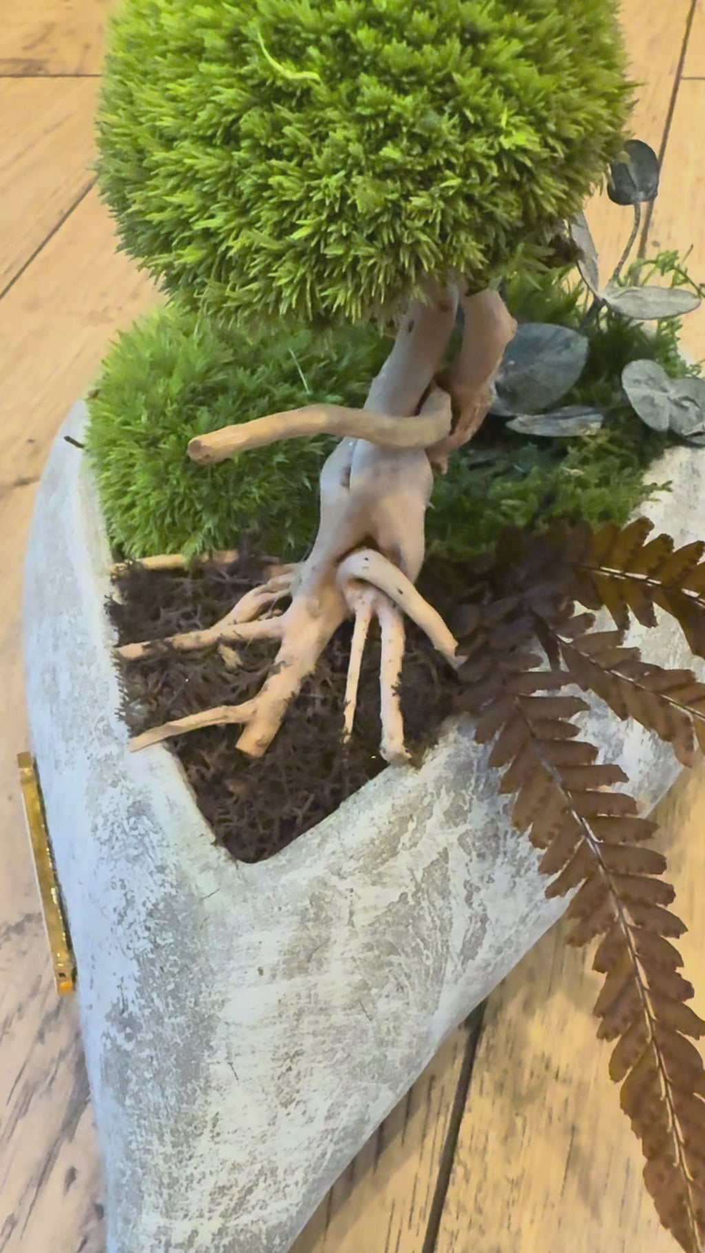 Bonsaï stabilisé Cœur Sauvage – Jardin végétal en cœur minéral