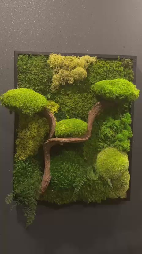 L’Esprit du Japon – Tableau végétal 3D avec bonsaï en bois de vigne