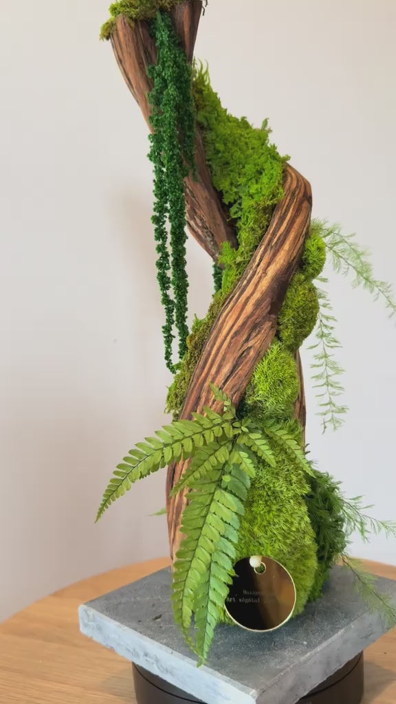 L’Ascension Végétale – Sculpture végétale stabilisée, 42 cm