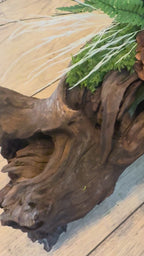 L’Alliance des Ombres – Centre de table végétal stabilisé en bois de Mopani