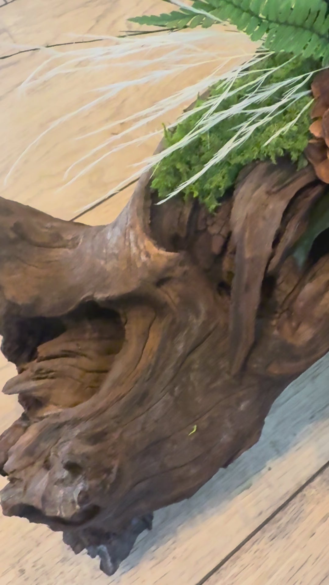 L’Alliance des Ombres – Centre de table végétal stabilisé en bois de Mopani